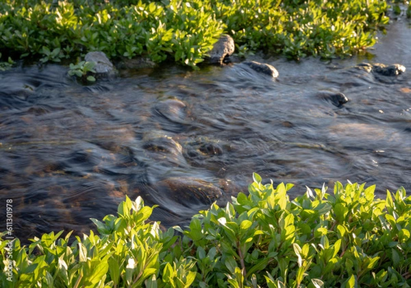 Fototapeta flowing stream