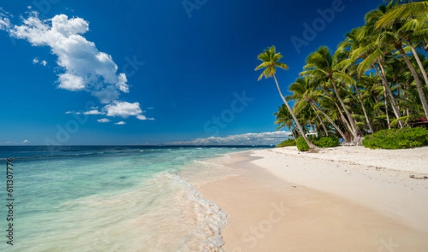 Obraz Isla Saona