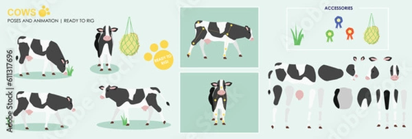 Obraz Black and white cow ready to animate with multiple poses accessories. Vector file labeled ready to rig. milking cow, cow walking, standing, front, side views