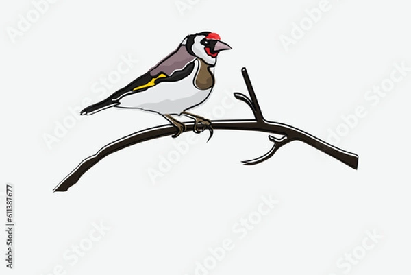 Obraz Illustration bird on the branch vector