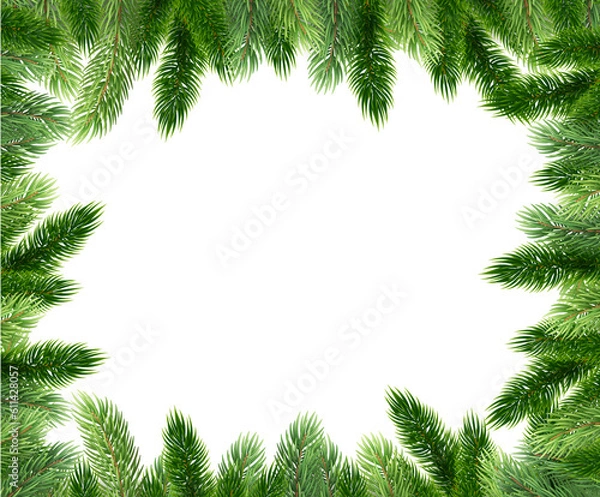 Obraz Fir leaves with transparent background 2
