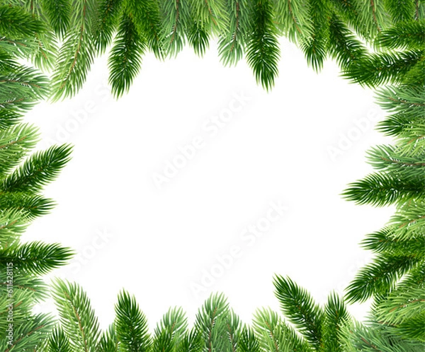 Obraz Fir leaves with transparent background 2