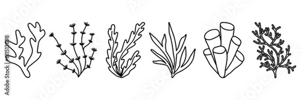Obraz Set of sea and aquarium water plant or seaweed, doodle style flat vector outline for coloring book