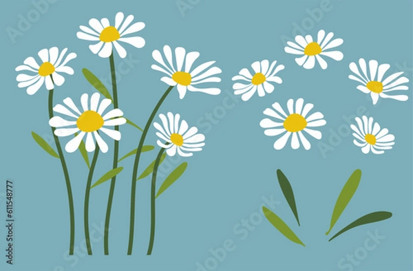 Obraz Daisy flower background.Eps 10 vector.