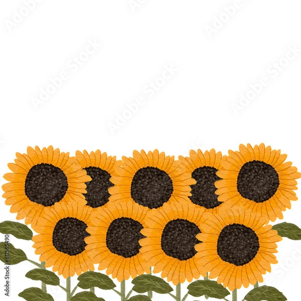 Obraz sunflower 