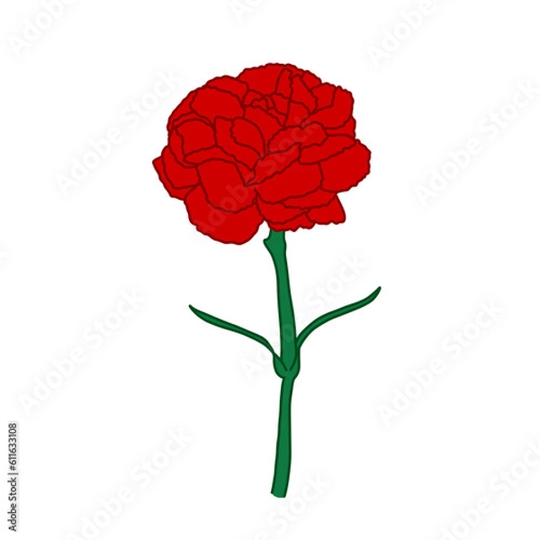 Fototapeta Carnation