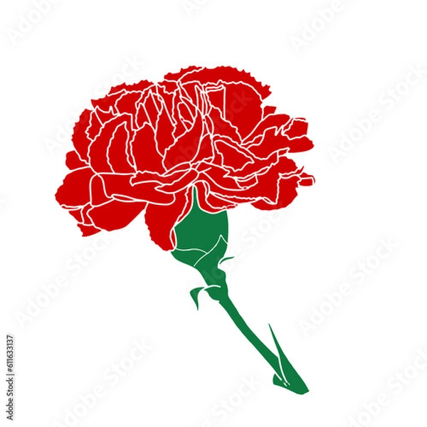 Fototapeta Carnation