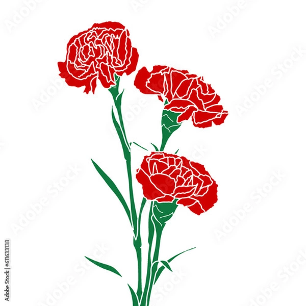 Fototapeta Carnation