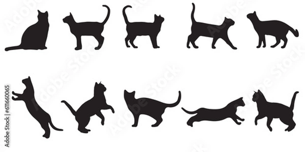 Obraz Silhouette cat vector eps 10