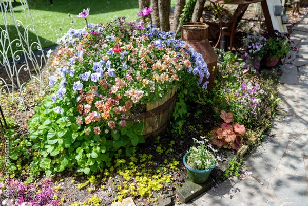 Obraz カラフルな花 ガーデニング