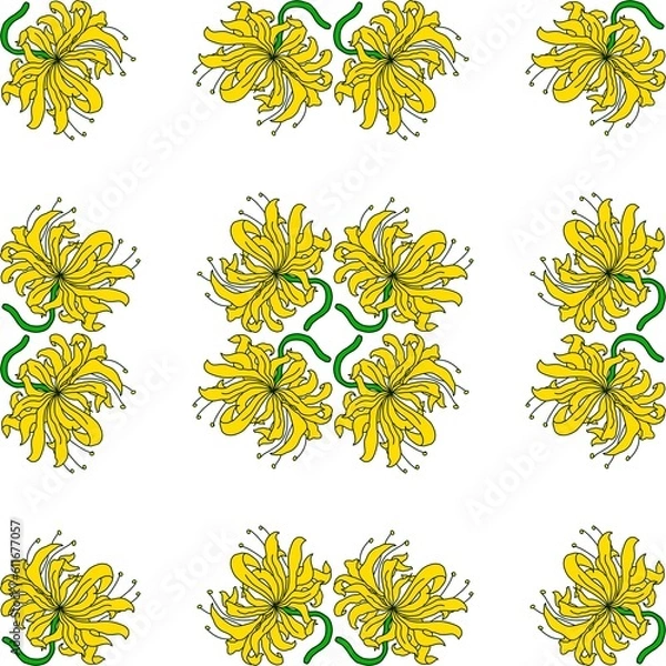 Obraz set of flower