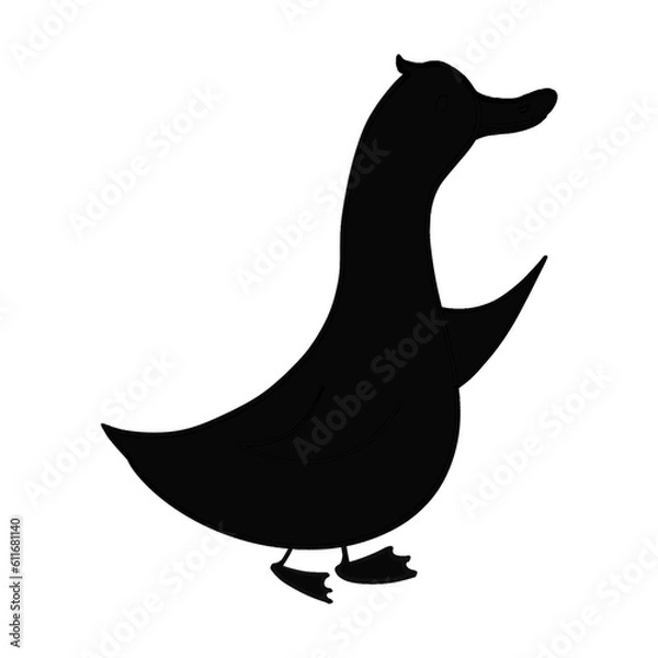 Fototapeta Shadow duck 