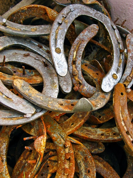Obraz Rusted horseshoes