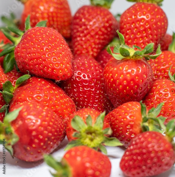 Obraz Beautiful red ripe strawberries are seen harvested on a white background and ready to be consumed.