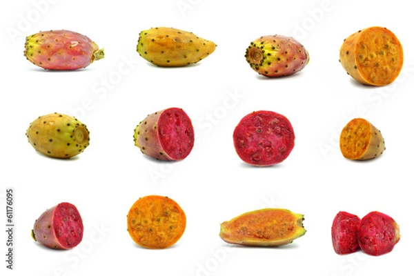 Fototapeta prickly pear