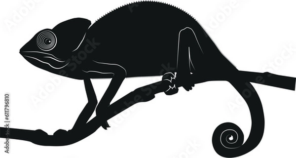 Fototapeta Silhouette of chameleon on the branch, isolated on white background.