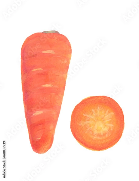 Obraz ニンジン　水彩