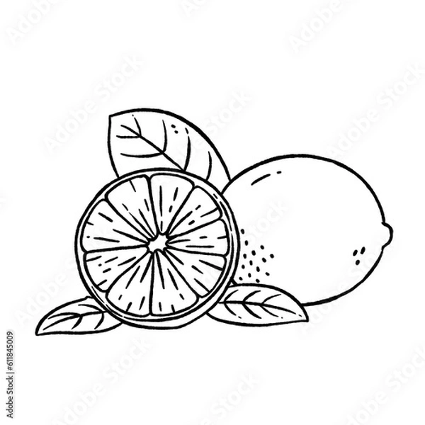 Fototapeta lemon line