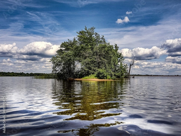 Obraz lake and trees