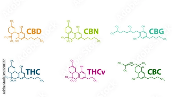 Obraz Chemical formulas of natural cannabinoids. Table of cannabinoids.