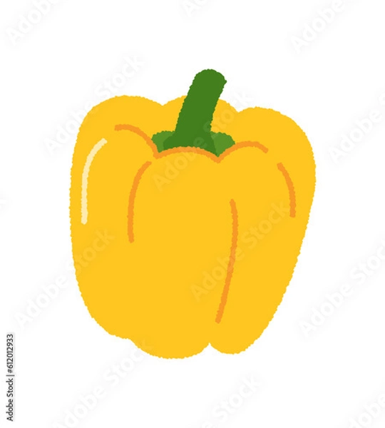 Fototapeta 黄パプリカの手書きベクターイラスト