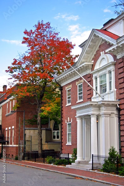 Obraz Harvard Square, Cambridge..