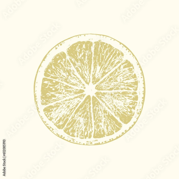 Fototapeta a picture of a lemon in section