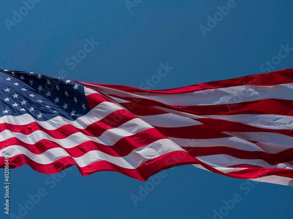 Fototapeta American Flag in the Wind 120