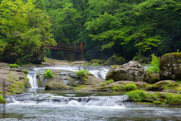 Obraz 熊本県 菊池渓谷