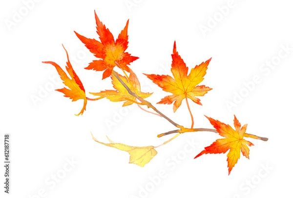 Fototapeta 水彩で描いた赤とオレンジの鮮やかな紅葉のイラスト素材
