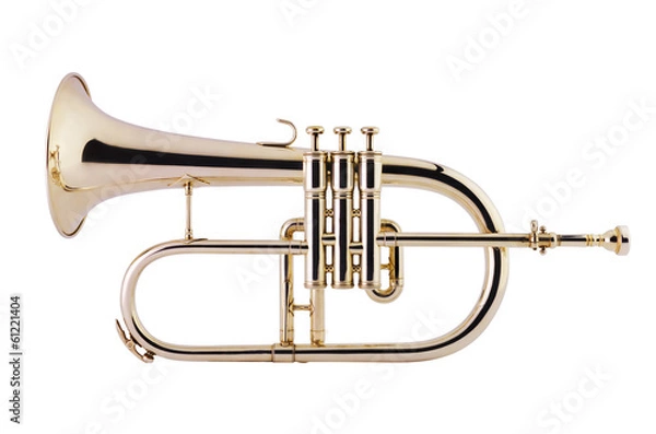 Obraz Flugelhorn na białym tle