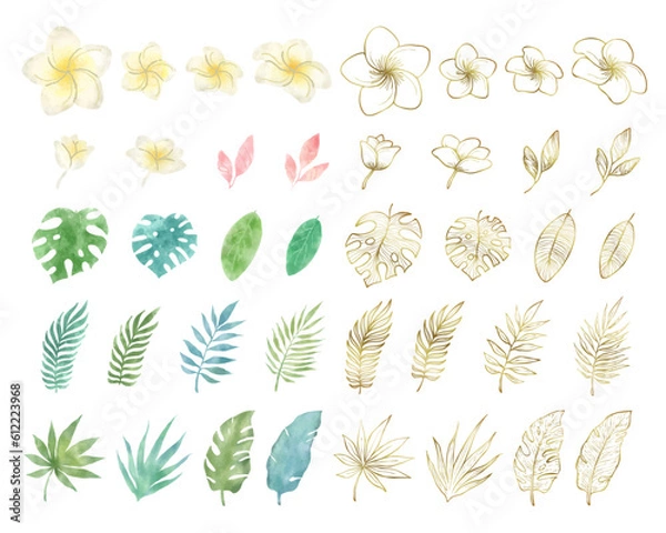Obraz 夏の植物 プルメリアと葉っぱの水彩素材ベクターイラストセット