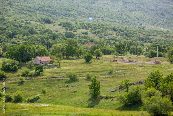 Obraz landscape with fields and hills