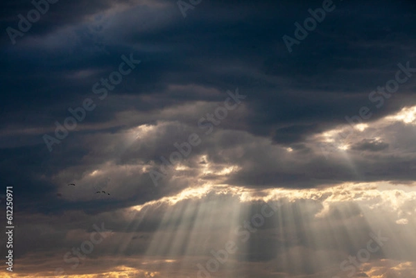 Obraz sun rays and clouds