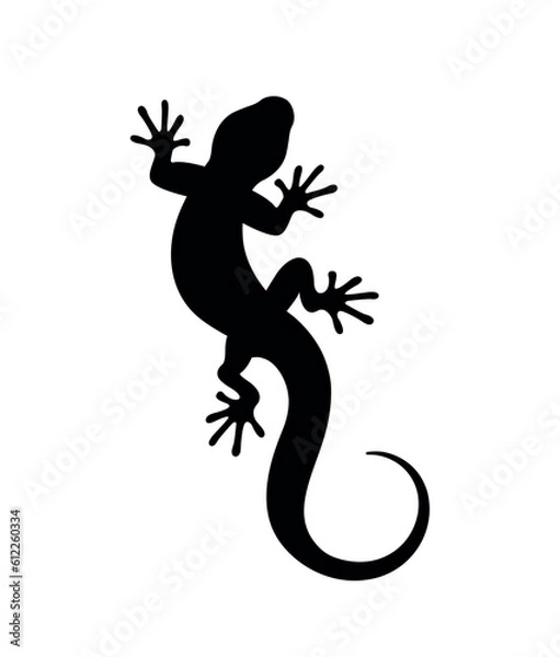 Fototapeta Silhouette of a lizard on a white background