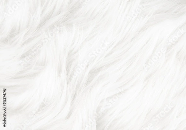 Obraz weißes Fell - Textur