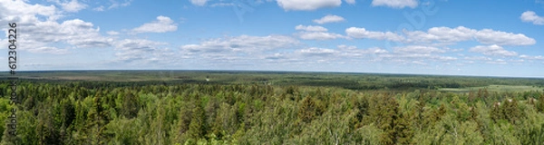 Obraz panoram view of estonian landscape