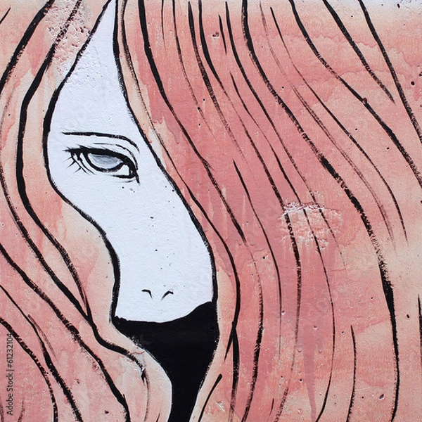 Obraz graffiti on the wall