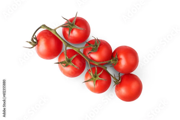 Obraz A bunch of ripe juicy red tomatoes on the vine isolated against a transparent background