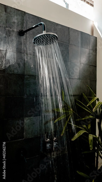 Fototapeta shower in the rain