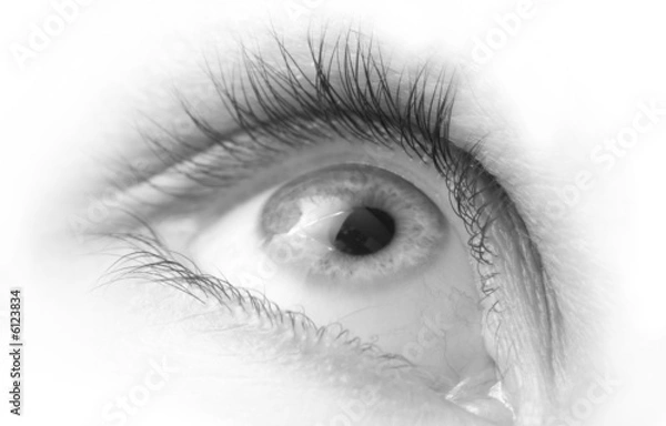 Obraz Eye Close-Up High Key