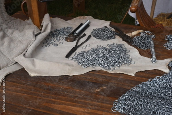 Obraz Cotte de mailles