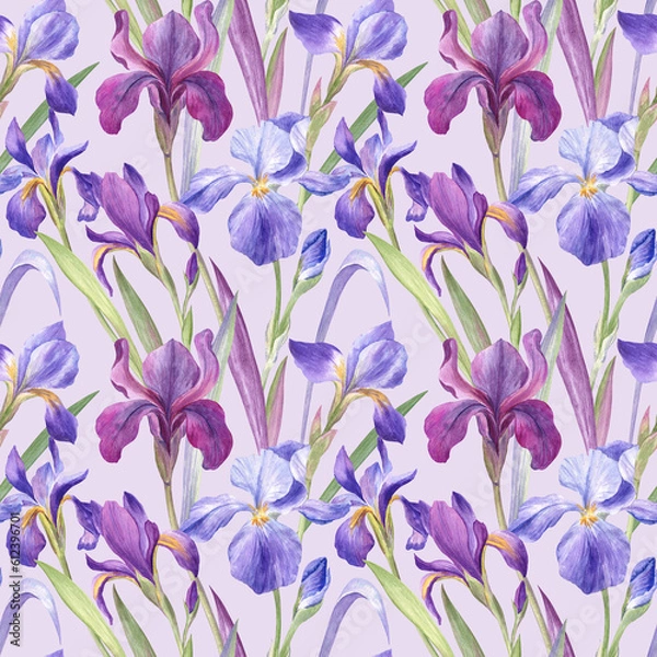 Fototapeta Seamless pattern with iris flowers on lavender background. Watercolor botanical illustration, detailed traditional drawing. For fabric, wrapping paper, stationery products 