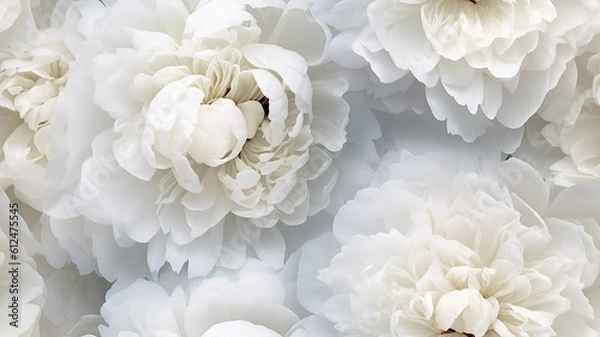Obraz white peonies flowers