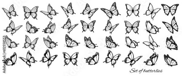 Fototapeta Set of butterflies, flying in different directions. Butterfle silhouette. Vector.