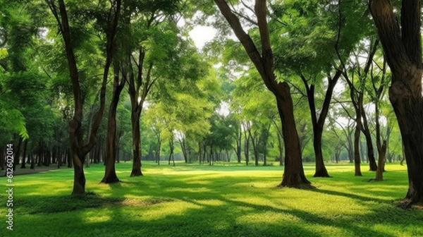 Fototapeta Trees in the park with green grass and sunlight, fresh green nature background, Generative AI