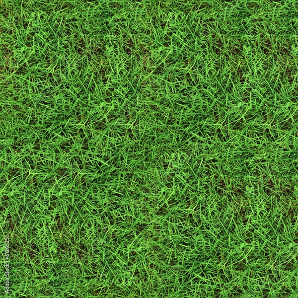 Obraz Green grass seamless texture