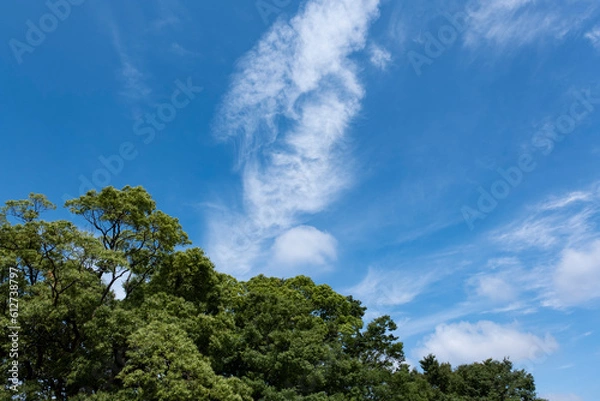 Fototapeta 夏、梅雨明け、さわやかな晴天の青空と折り重なったふわふわの積乱雲、新緑の森林、山の木々の背景　夏休み・天気・アウトドア・旅行・バカンスのイメージ