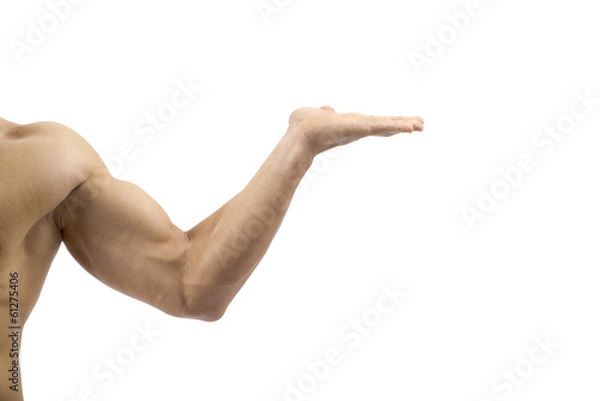 Fototapeta Bodybuilder with perfect abs, shoulders,biceps, triceps,chest