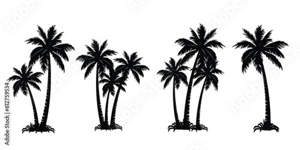 Fototapeta Palm tree silhouette vector eps 10